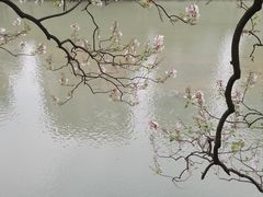 -红星桥(地铁站)