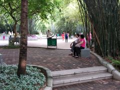 -晓港公园