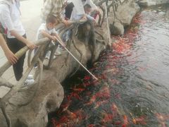 -华夏文旅西安度假区