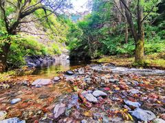 -云岫谷自然风景区