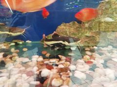 -大润发(王庄店)