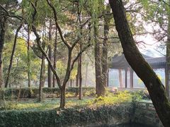 -东山矮马桶羊肉(太湖东山店)