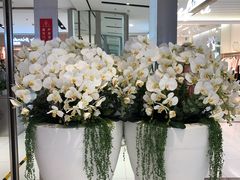 -远洋未来广场(育慧北路店)