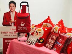 -天鹅到家·保姆月嫂育儿嫂(朝阳店)