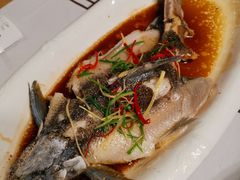 清蒸翘嘴鱼-醉美东江·三文鱼
