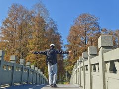 -四海公园(南山区)