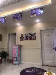 -静博士·养生养颜