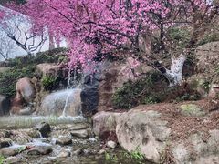 -秀丽东方