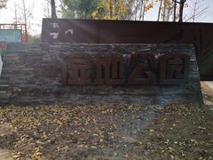 -东郊湿地公园