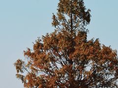 -良渚古城遗址公园