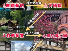 -成都大熊猫繁育研究基地