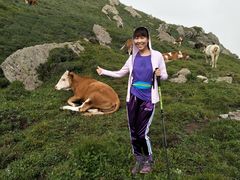 -蔚县茶山村
