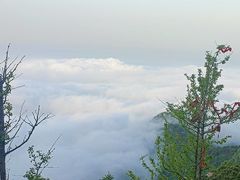 -泰山风景名胜区