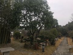 -万景茶庄·台州菜