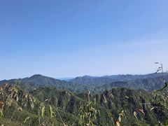-大岭沟猕猴桃谷风景区