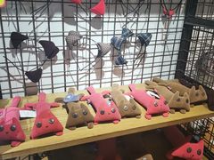 -猫咪博物馆(顶澳仔猫街店)