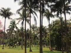-中国科学院西双版纳热带植物园