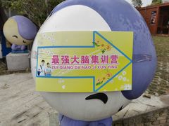 -百万葵园