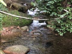 -老张烤羊(王哥庄店)