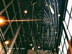 大堂-Mango Tango