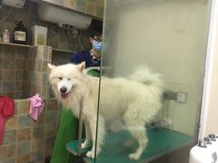 -佳雯宠物医院(四明中路分院)