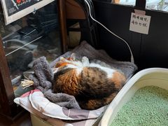 -浅行深作咖啡坊