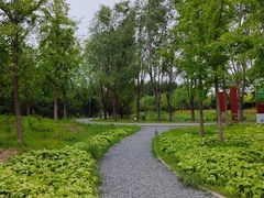 -东郊湿地公园
