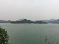 -望湖烤鱼