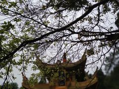 -峨眉山报国寺