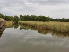 -白渔泡湿地公园