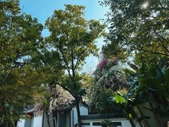 -深圳国际园林花卉博览园