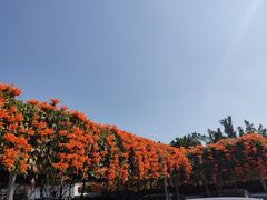 -中国移动南方基地