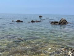 -海岛日记(养马岛店)