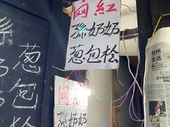 -孙奶奶葱包桧
