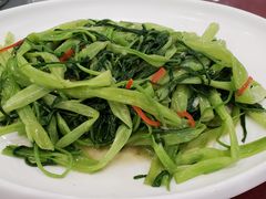 椒丝腐乳炒通菜-姚林轩