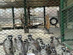 -水上乐园·欢乐世界