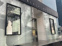 -BLACKSWAN黑天鹅(环球店)