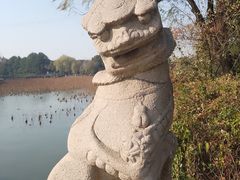-苏州上方山国家森林公园