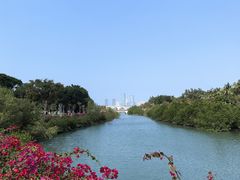 -万绿园