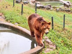 -无锡动物园·太湖欢乐园