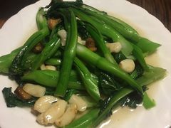 -旺金鸽(穗盐路总店)