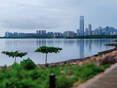 -深圳湾公园(南山区)