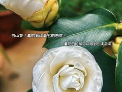 -真庆观