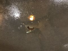 -帐篷客·溪龙茶谷度假酒店