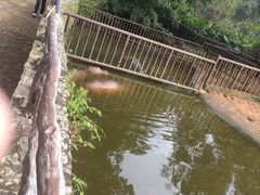 -海南热带野生动植物园