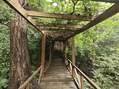 -大岭沟猕猴桃谷风景区