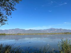 -野鸭湖国家湿地公园