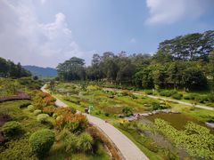 -东莞植物园