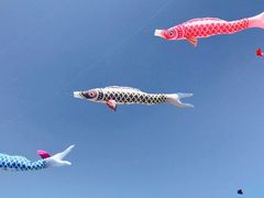 -潍坊滨海云门国际风筝放飞场