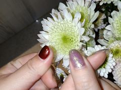 -海底捞火锅(长沙华创国际广场店)